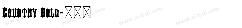 Courtny Bold字体转换